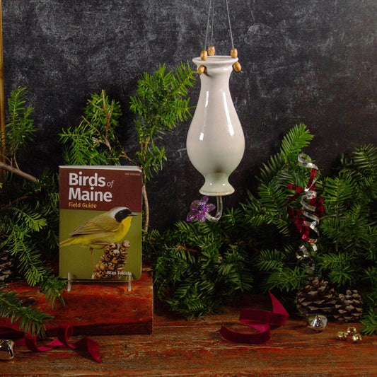 Pairing: Ivory Green Hummingbird Feeder & Maine Bird Guide