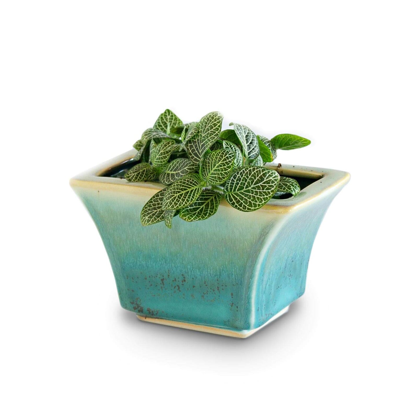 Handmade Pottery Windowsill Planter in Green Oribe pattern made by Georgetown Pottery in Maine