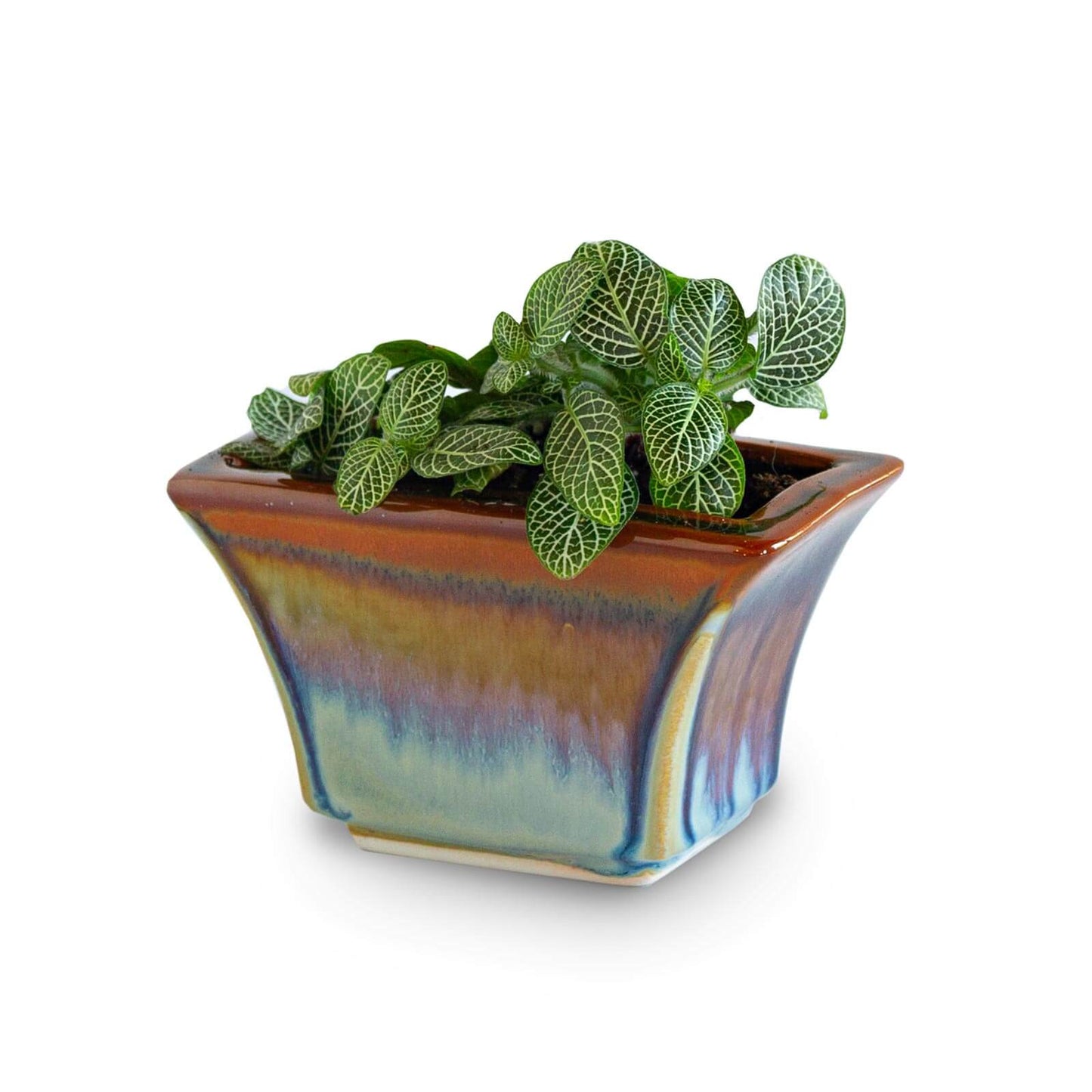 Handmade Pottery Windowsill Planter in Purple Hamada pattern made by Georgetown Pottery in Maine